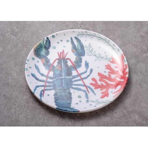 Toxic Free Shatterproof Round Melamine Plate Set