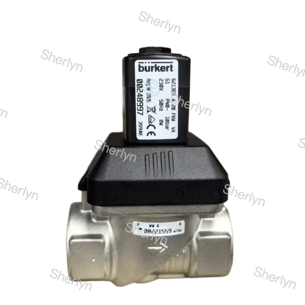 6281 Burkert Solenoid Valve G1 00228397 AC24V