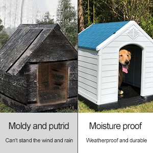 Weatherproof Structural Design