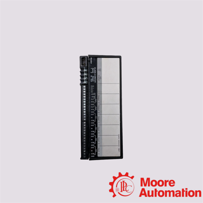 IC660BBA024P1 GE Analog Input/Output Module