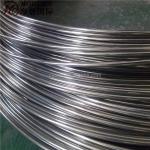 Annealing 1mm 2mm 3mm Stainless Steel Wire 201 202 Cold Drawing