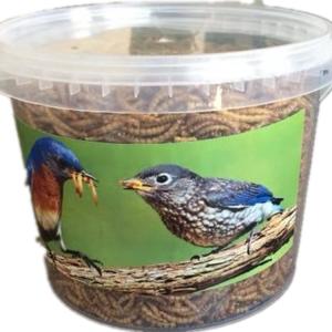China -Origin Freeze-Dried Mealworms - Made with Quality Ingredients factory