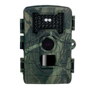 China JPG AVI HD Trail Camera 34pcs LED 24MP 1080P Hunting Night Vision Wildlife Camera factory