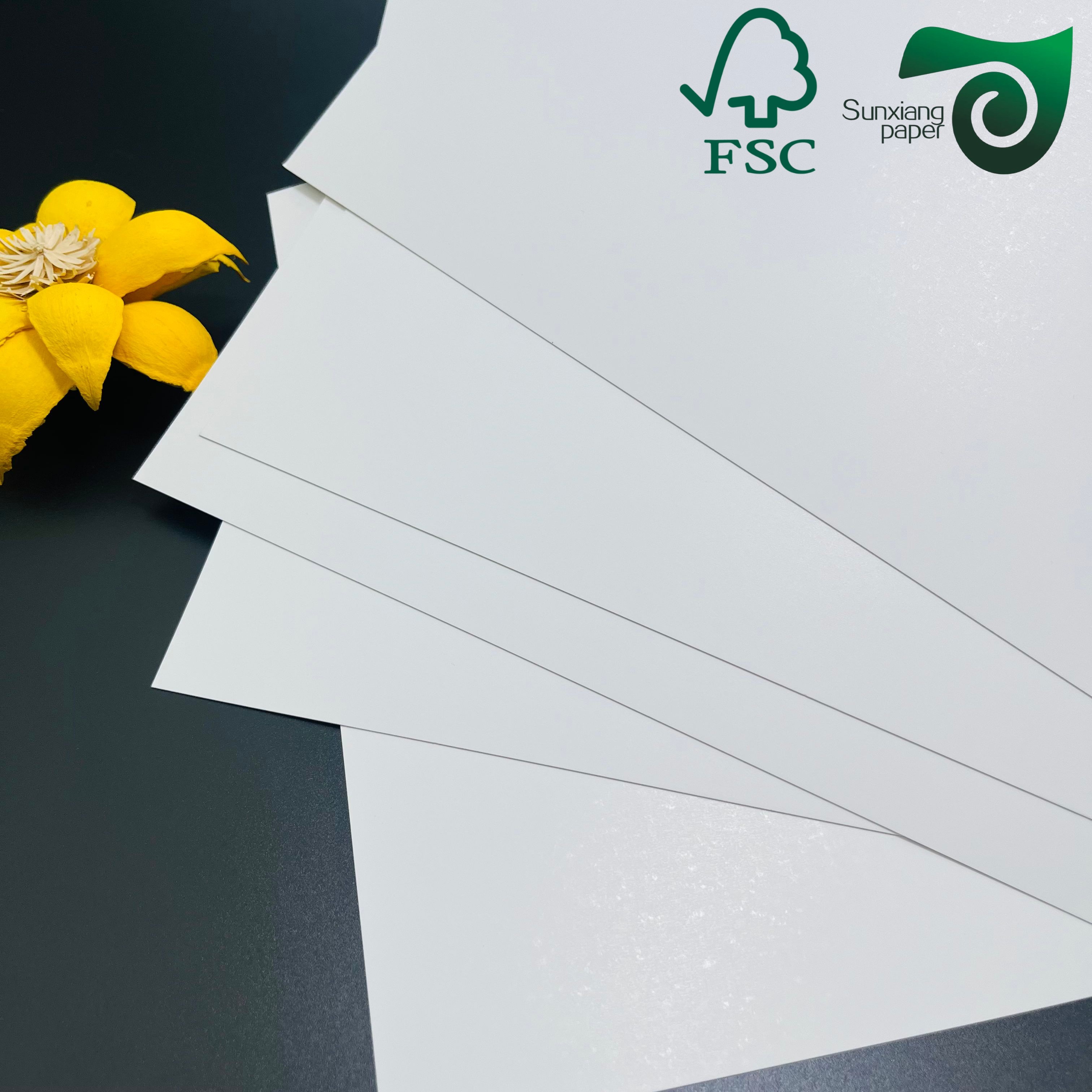 Printing Paper In Ivory Color 170GSM Sized 635mm 914mm Suitable For Medicine Box Packaging