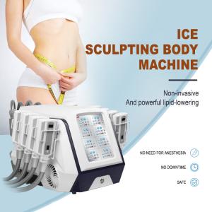 China Non Vacuum Pads Cryolipolysis Fat Freeze Slimming Machine OEM ODM factory