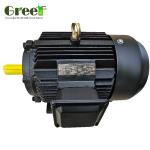 5mw 3mw Permanent Magnet Synchronous Motor 6 Poles