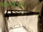 RJ45 Dimming Led Grow Light