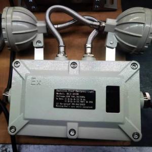 China 220V 2*3W Explosion Proof Emergency Lights Double Head Atex Ex Lighting Fixtures factory