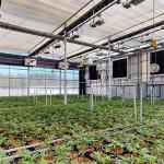 Inner Shading System DIY Light Dep Blackout Tarp Greenhouse 30-60m