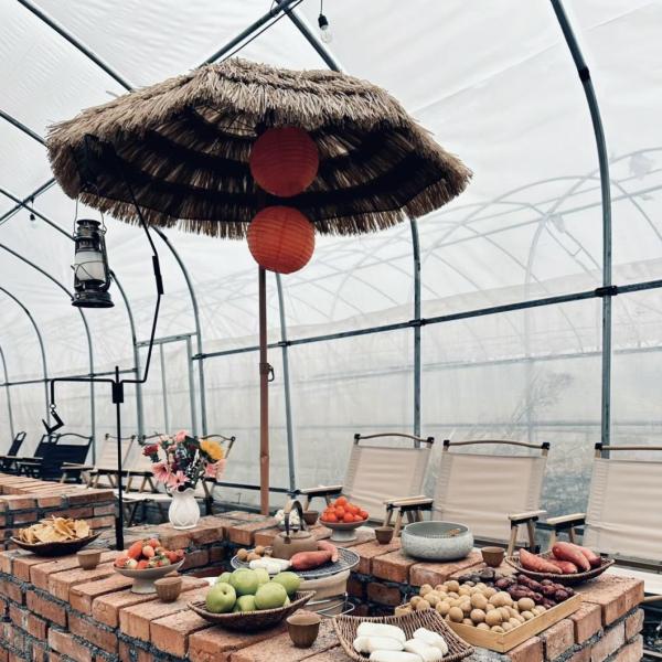 High-Quality Cocopeat Soil Greenhouse for Vegetable Production