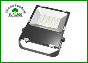 China IP66 Water Resistant 80 Watt LED Flood Light Fixtures ELG Meanwell Driver Type factory