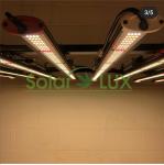 Led Plant Light Cover 2000w Full Spectrum LED Grow Light