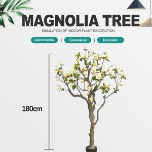 China Customized Large Plastic Artificial Magnolia Tree 600cm Height factory