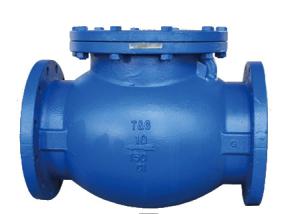 China DIN Cast Iron Low Pressure Flanged Check Valve Swing RF For Water factory