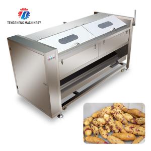 China 380KG Stainless steel wool roller peeling cleaning machine potato automatic fruit and vegetable peeling factory