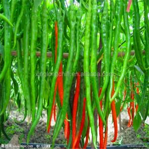 China Spicy Erjingtiao Dried Red Chili Peppers 4 - 7cm Stemless Vacuum Sealed factory