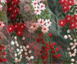 Romantic 3D Flower Embroidered Tulle Lace Fabric , Embroidered Net Fabric Cloth