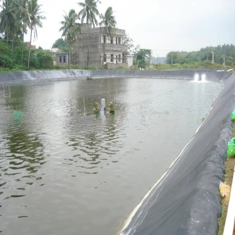 Double Smooth HDPE Geomembrane for Fish Ponds 1.25mm/2mm/4mm Thickness Shandong Exporter