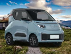 China Electric Passenger Transport Vehicles Modified Model 2 Seats factory