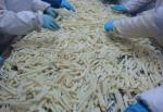 Automatic 200kg/H 100kg/H Plantain Chips Production Equipment Banana Chips Maker