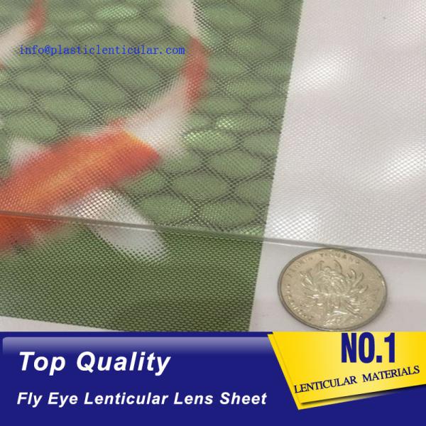 PLASTIC LENTICULAR lenticular fly eye sheets micro lens arrays-360 degrees 3d