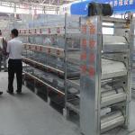 Animal Battery Chicken Breeder Cages Automatic Poultry Farming 8 Tiers