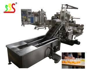 China Small And Medium Fruit Production Line Less Than 1000kg/Hour factory