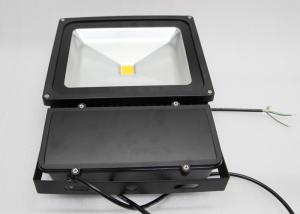 China Exterior 80 Watts Landscaping Led Flood Lamps Cool White Warm White factory