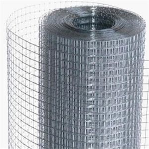 China Galvanized Welded Wire Mesh Roll 1cm 2cm Grid Welded Wire Mesh 1x20m Wall Anti Crack Welded Wire Mesh on sale
