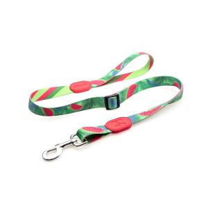 China 6.1m 20 Foot Anti Pull Dog Lead Collar For Yard Disabled Owners Extra Long factory