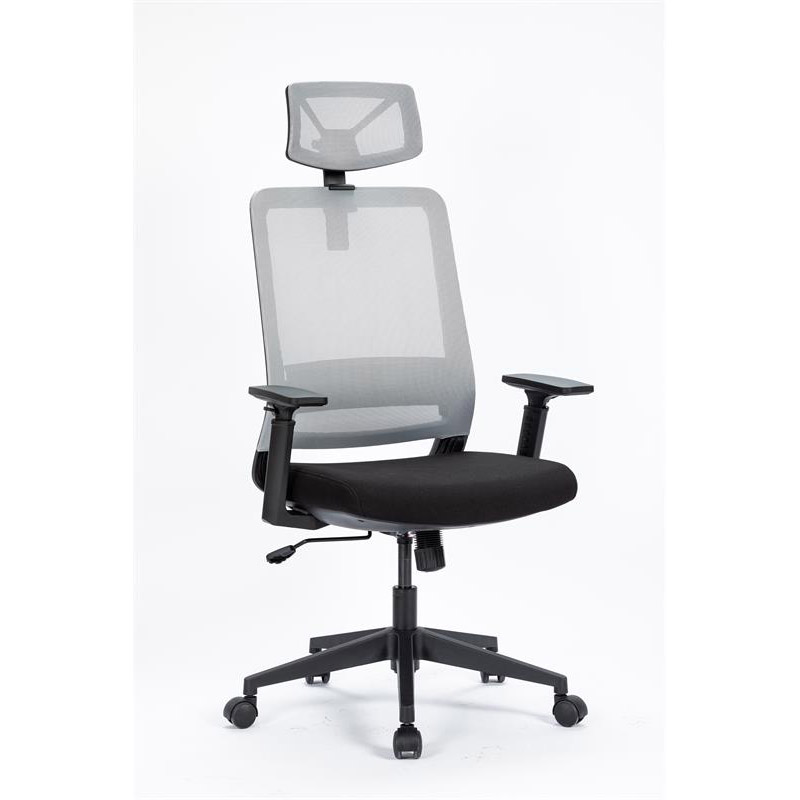 ALINUNU Economic Modern Office Chair with Headrest and 8939 Molded Foam Excellent