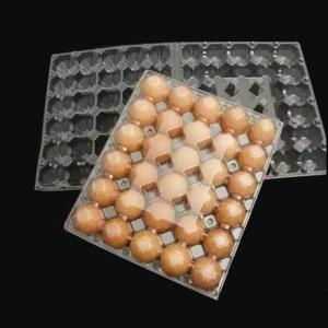 China 5X6 Disposable Plastic Egg Tray 30 Holes Transparent Egg Tray Plastic on sale