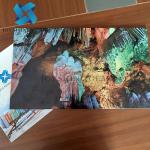 Digital Printing Laminated Glass 6mm 8mm 10mm Decorative Glass
