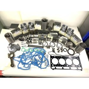 WP12.430E50 Rebuild Overhaul Kits For weichai generator