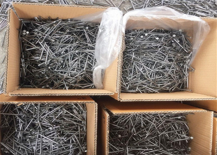 5" length 25kgs In Carton Galvanized Common Nails