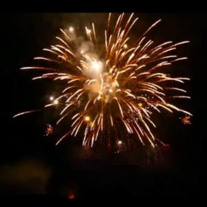 China Custom Pyrotechnic Chinese Outdoor Classic Cake Fireworks 16 Shot factory