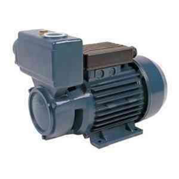 TPS Domestic Electric Motor Self Priming Water Pump For Greenhouse Area1HP / 0