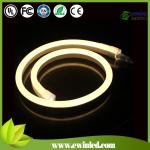 220V 110V 50m Indoor Outdoor Flex LED Neon Rope Light for Holiday Party