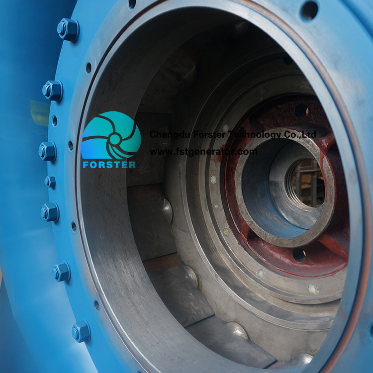 Compact Horizontal Hydro Turbine Synchronous 3 Phase Ac Brushless Excitation Type