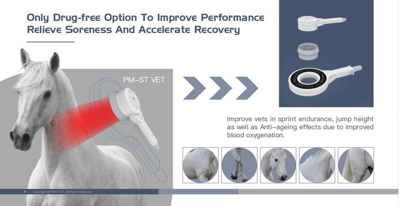 EMTT Shockwave Therapy Machine 4 Tesla Veterinary Device For Horse Muscle Stimulation