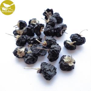 China Factory manufacturer black goji berry, big size black goji berry,ISO certified Black Goji Berry Extract factory