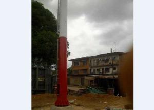 China Green Field Monopole Telecom Tower Painted Surface Camouflage Telecom Tower factory