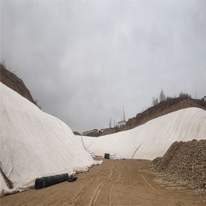 Road Railway Construction Geotextile Separation Layer with Industrial Design