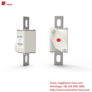 China DC1000V 315A EV Charger Adapter Fuses Terminal for Electric Power System factory