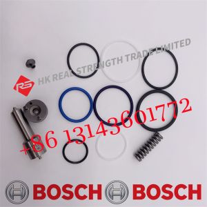 Diesel Engine Fuel Injector Repair Kits F00041N037 For Bosch 0414701045