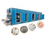 Food Quick Frozen Machine Joyshine Iqf Freezer Machine Tunnel For Quick Freezing