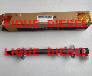 China BOSCH Common Rail 0445224055 , 504342424 , 0 445 224 055 factory