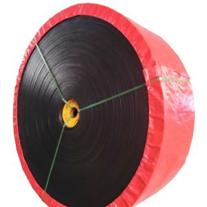 China Standard High Elasticity ST1600 Special Conveyor Belts factory