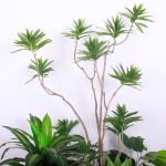 Natural Wood Artificial Landscape Trees Lily Bamaboo For Home Decor Evergreen No