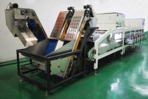 China Large Yield 50Hz 7.5KW Date Sorting Machine 8 Channel for Food on sale